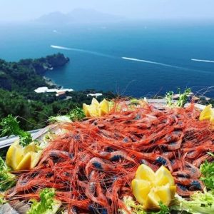 Gamberetti di Crapolla/La Torre