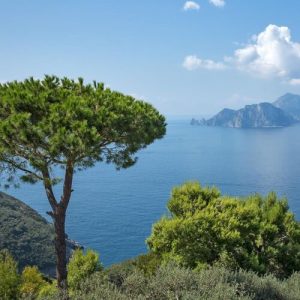 Umberto D'Aniello/Relais Blu