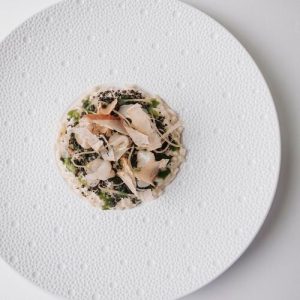 Bottega Noce/Sensi