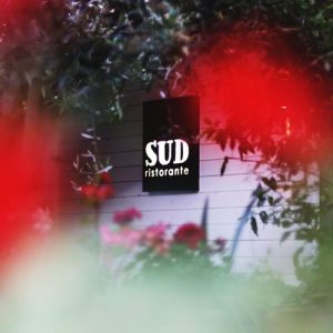 Antonio Vitale/Sud